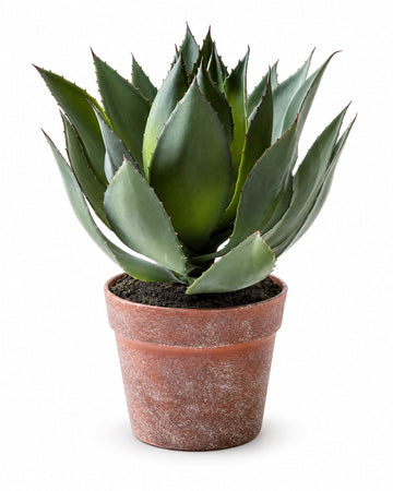 Kunstig Agave delivered in Oslo and across Norway by a local florist