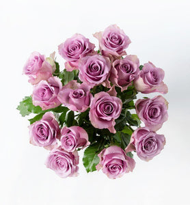 15 purple roses - abcFlora.com