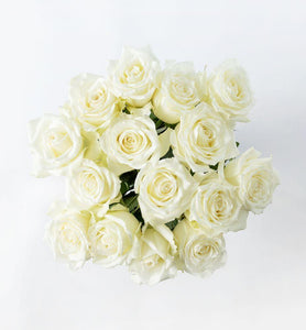 15 white roses - abcFlora.com
