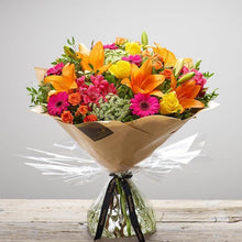 Load image into Gallery viewer, Color Splash - abcFlora.com