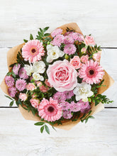 Load image into Gallery viewer, Pink Ice Cream - abcFlora.com