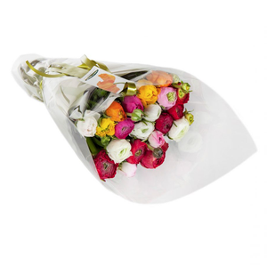 Ranunculus Gift Wrapped - abcFlora.com