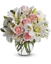 Load image into Gallery viewer, With "Estilo" - abcFlora.com