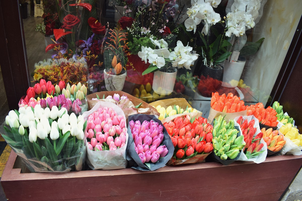 10 Types of Flowers and Their Meanings