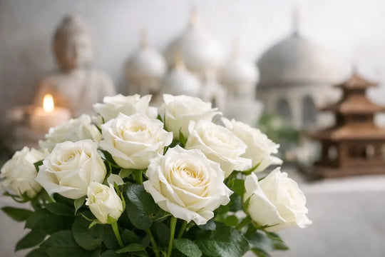 Significado de las Rosas Blancas en Todas las Culturas