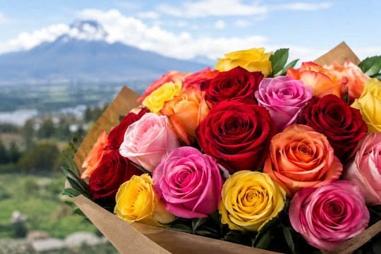 Why Ecuador Roses Are Famous Worldwide Today