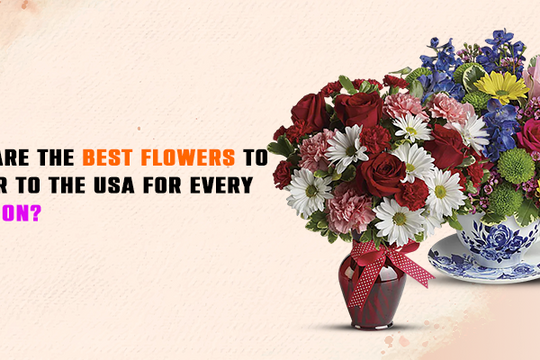 What Are the Best Flowers to Deliver to the USA for Every Occasion