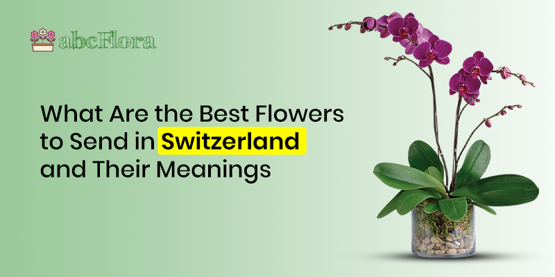 What Are the Best Flowers to Send in Switzerland and Their Meanings