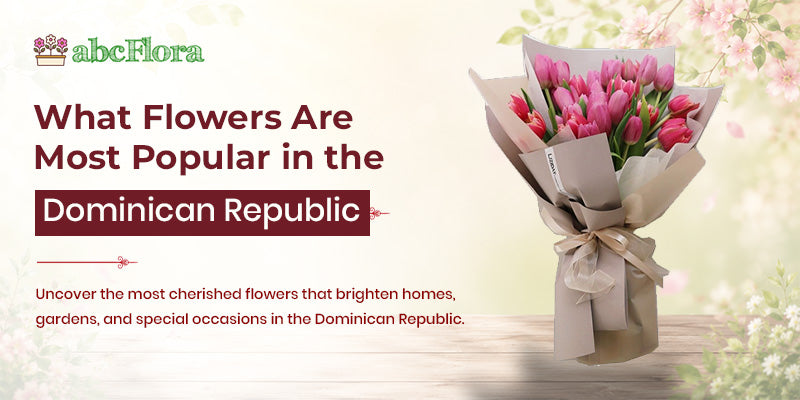 What Flowers Are Most Popular in the Dominican Republic