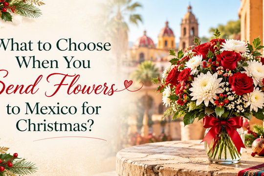 What to Choose When You Send Flowers to Mexico for Christmas?