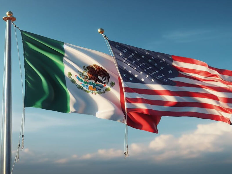 Cómo Enviar Flores a México desde EE.UU. (Guía 2026)