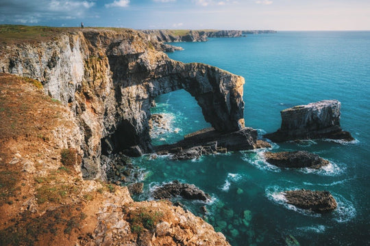 How to Send Flowers to Wales