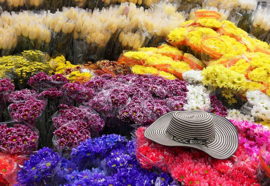 Most Popular Flowers in Colombia