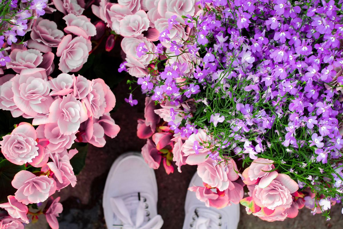 Cómo enviar flores a Canadá desde Estados Unidos: Guía 2026