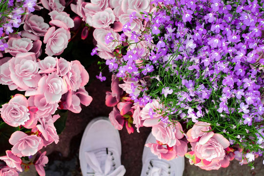 Cómo enviar flores a Canadá desde Estados Unidos: Guía 2026