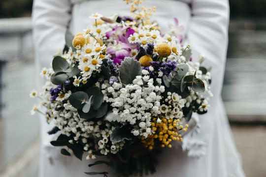 Cómo Enviar Flores a Australia desde Estados Unidos - Guía 2026