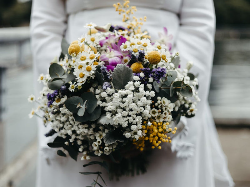 How to Send Flowers to Australia from United States — 2026 Guide