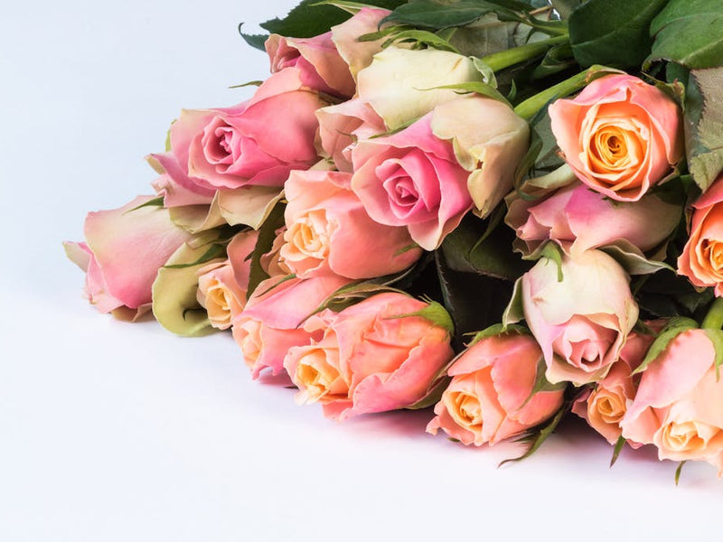 abcFlora Is Now on the App Store — Order Flowers From Anywhere