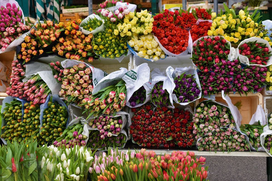 Cómo Enviar Flores a Alemania desde Estados Unidos - Guía 2026