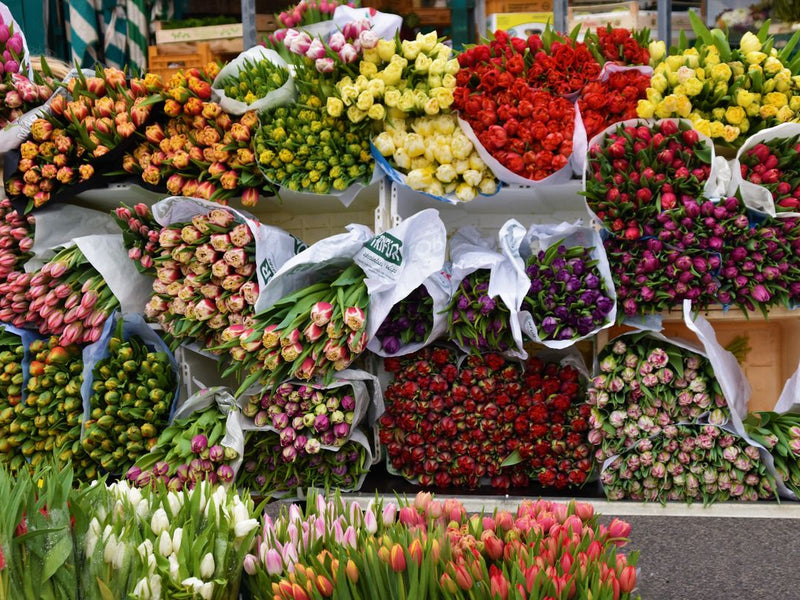 How to Send Flowers to Germany from United States -- 2026 Guide