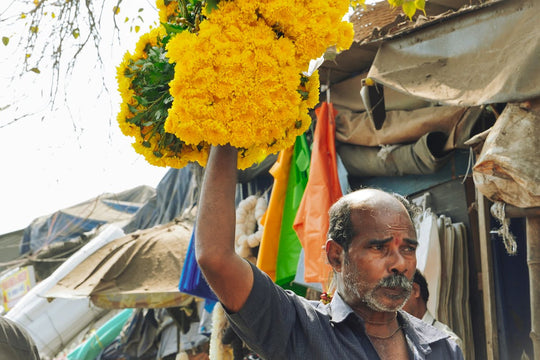 Cómo Enviar Flores a India desde Estados Unidos — Guía 2026