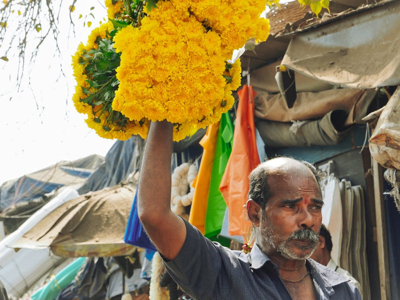 How to Send Flowers to India from United States — 2026 Guide