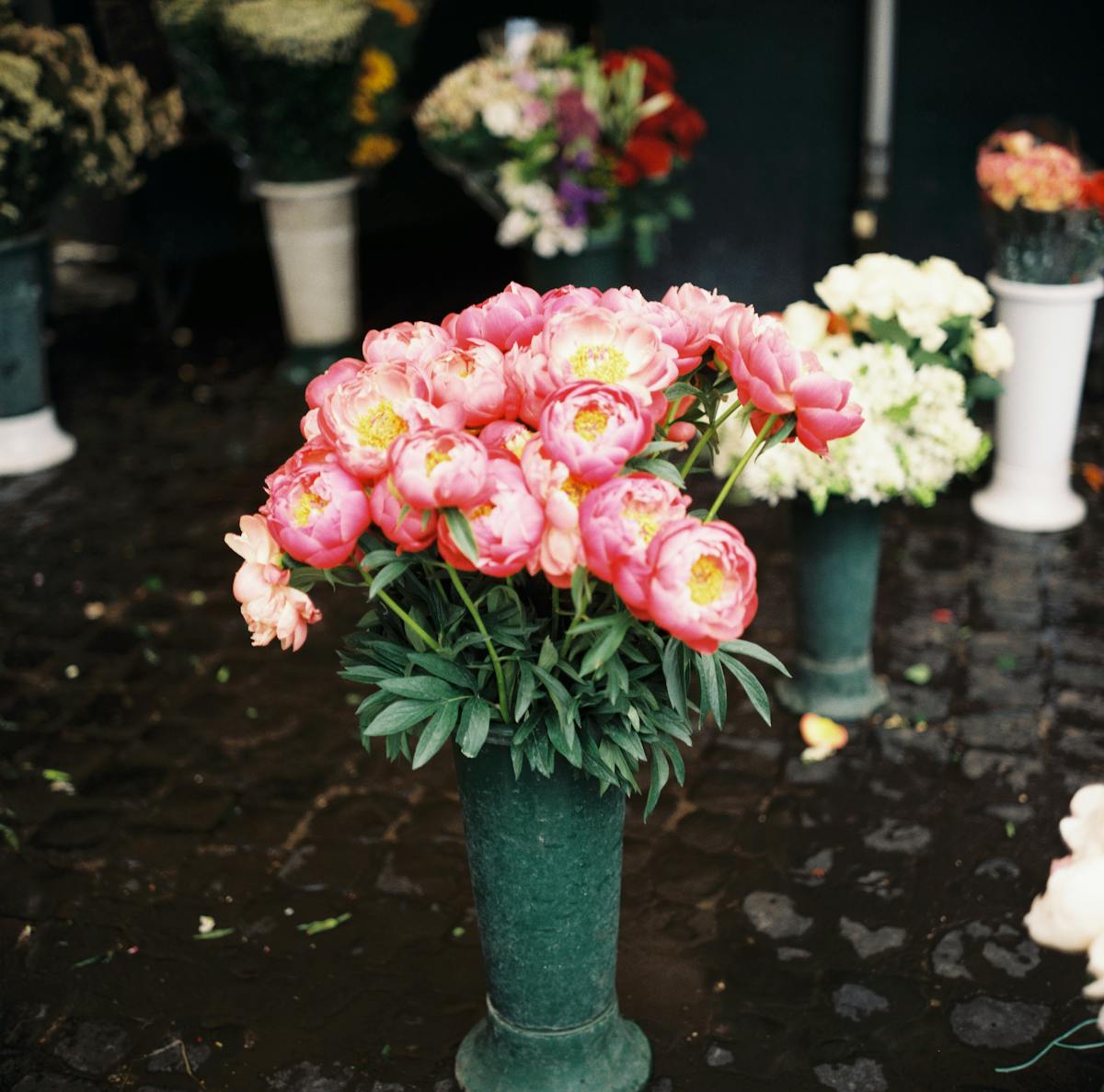 How to Send Flowers to Italy from United States -- 2026 Guide