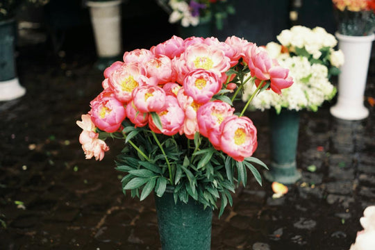 How to Send Flowers to Italy from United States -- 2026 Guide