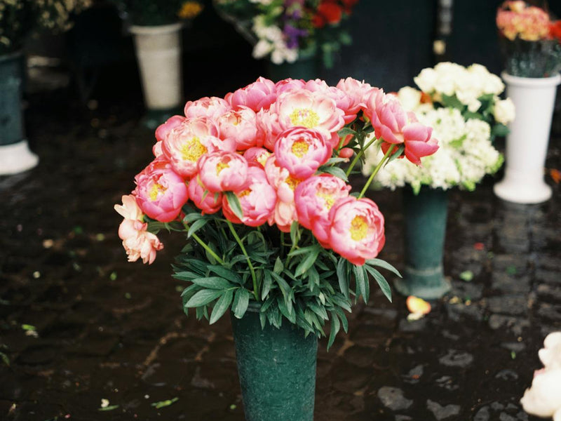 How to Send Flowers to Italy from United States -- 2026 Guide