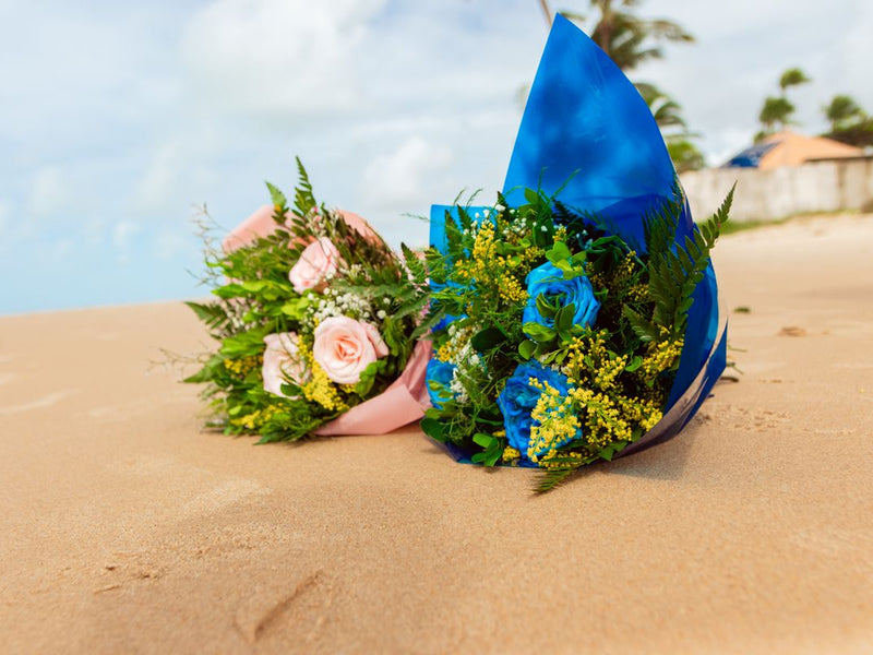 Enviar Flores a Bermudas desde Estados Unidos — Guía 2026