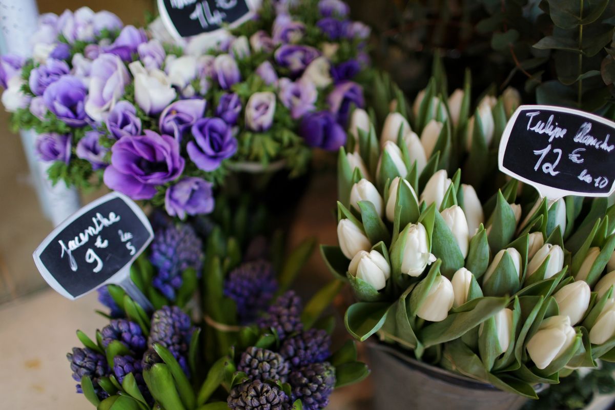 Enviar Flores a Francia desde Estados Unidos — Guía 2026