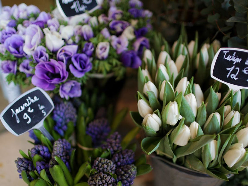 How to Send Flowers to France from United States — 2026 Guide