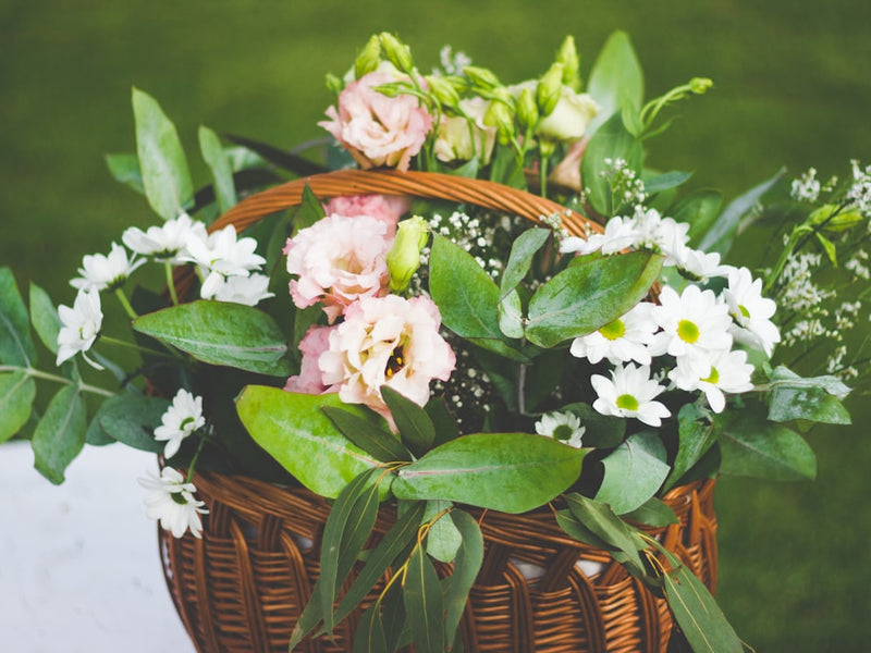 Send Flowers to Spain — Fresh Delivery with Local Florists