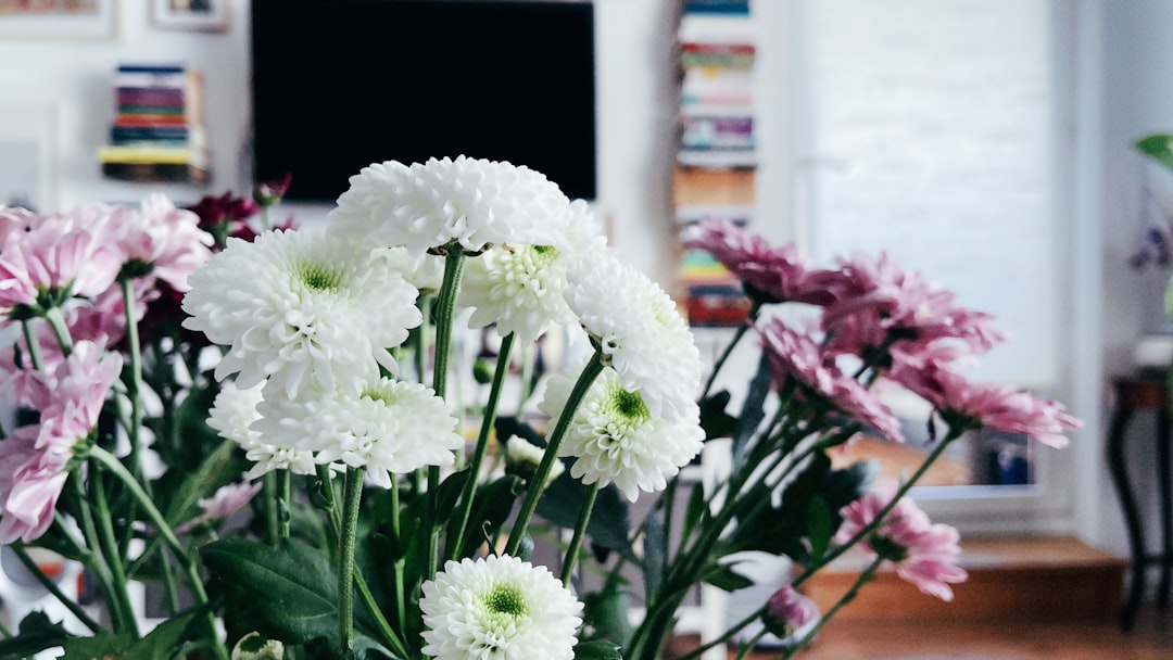 Want to Send Flowers in Germany? Here’s What You Need to Know