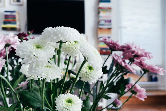 Want to Send Flowers in Germany? Here’s What You Need to Know