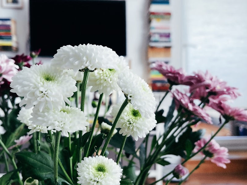 Want to Send Flowers in Germany? Here’s What You Need to Know