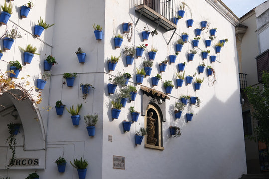 Enviar flores a España — Entrega fresca con floristas locales