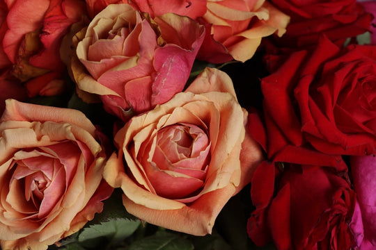 Send Flowers to Colombia — Delivery to Bogotá, Medellín and More