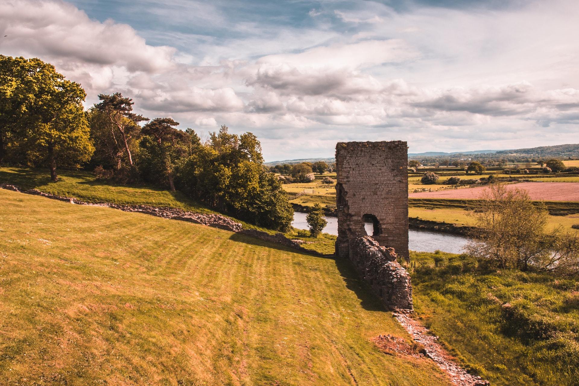 Wales Flower Delivery