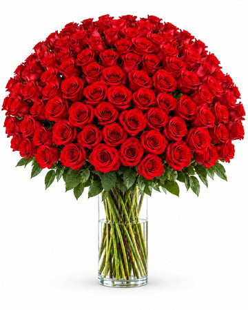 100 Red Roses delivered in Bogotá and across Colombia by a local florist