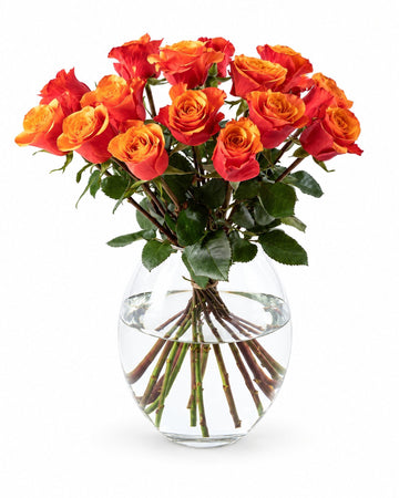 15 Golden Roses delivered in Oslo and across Norway by a local florist