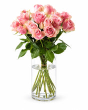 Laden Sie das Bild in den Galerie-Viewer, 15 pink roses delivered in Oslo and across Norway by a local florist