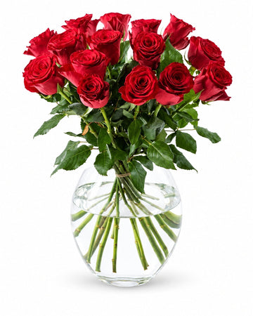 15 red roses delivered in Oslo and across Norway by a local florist