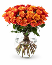 Load image into Gallery viewer, 30 golden roses delivered in Oslo and across Norway by a local florist