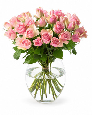 30 pink roses delivered in Oslo and across Norway by a local florist