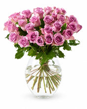 Load image into Gallery viewer, 30 purple roses delivered in Oslo and across Norway by a local florist
