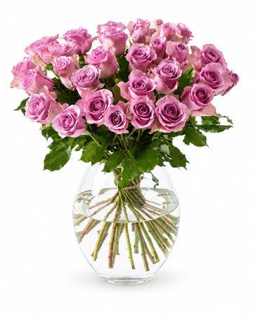30 purple roses delivered in Oslo and across Norway by a local florist