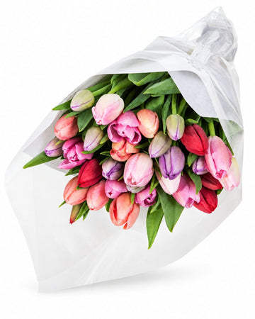 30 Tulips delivered in Oslo and across Norway by a local florist