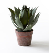 Load image into Gallery viewer, Kunstig Agave - abcFlora.com