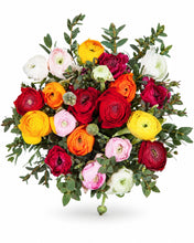 Laden Sie das Bild in den Galerie-Viewer, Ranunculus Gift Wrapped delivered in Oslo and across Norway by a local florist